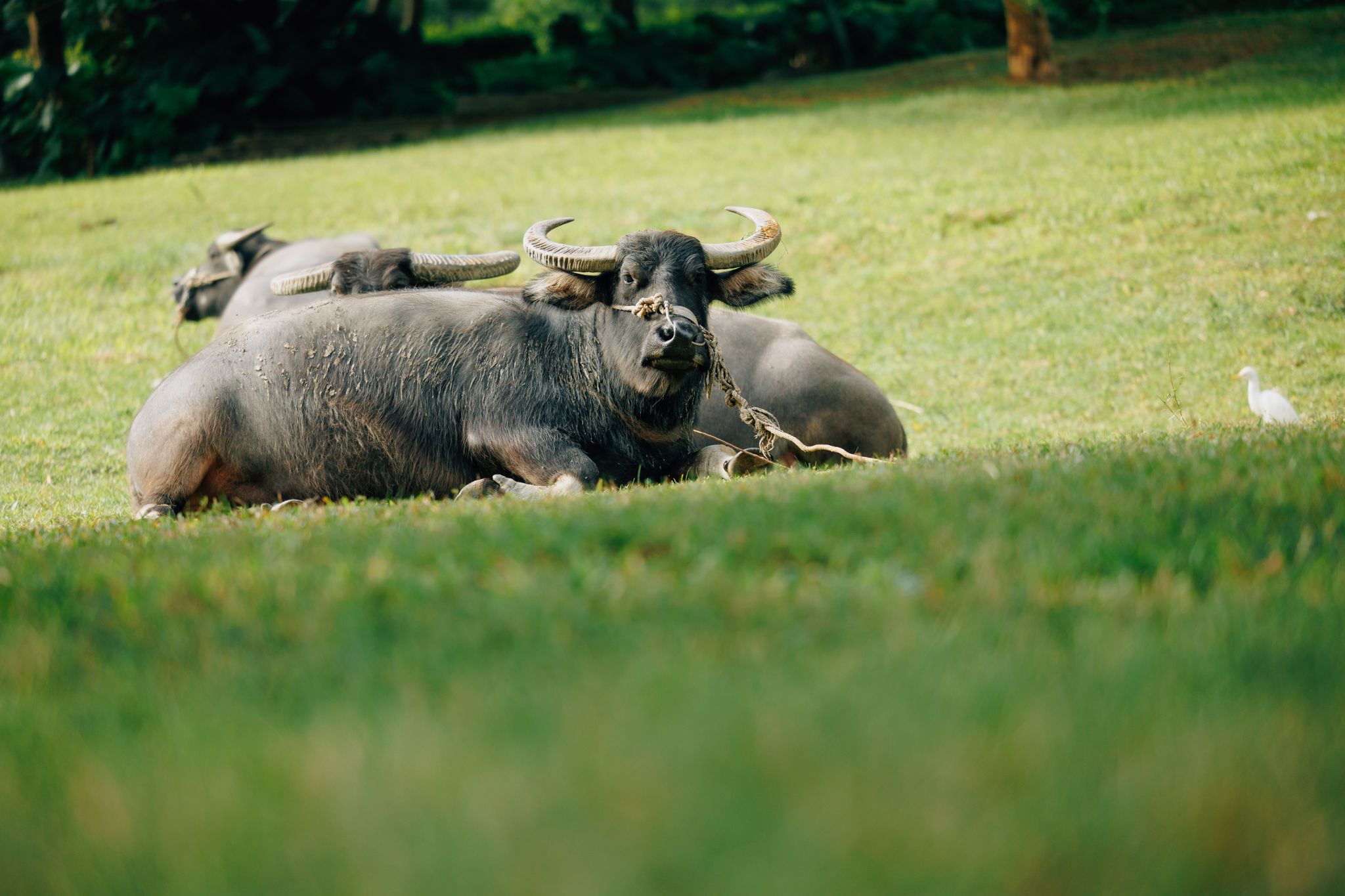 2024 犇藝獎 精選圖片