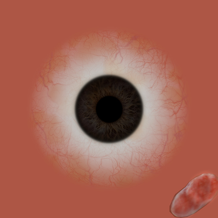 《極相林》-虛擬實境技術研發 組圖4