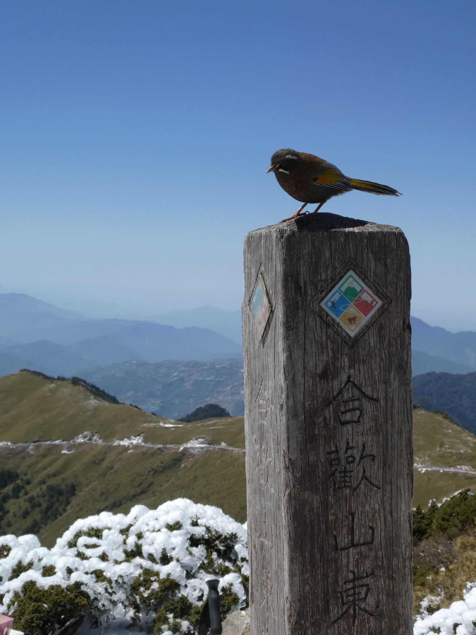山體感—關於此時、過去、未來的臺灣山岳思索 組圖3