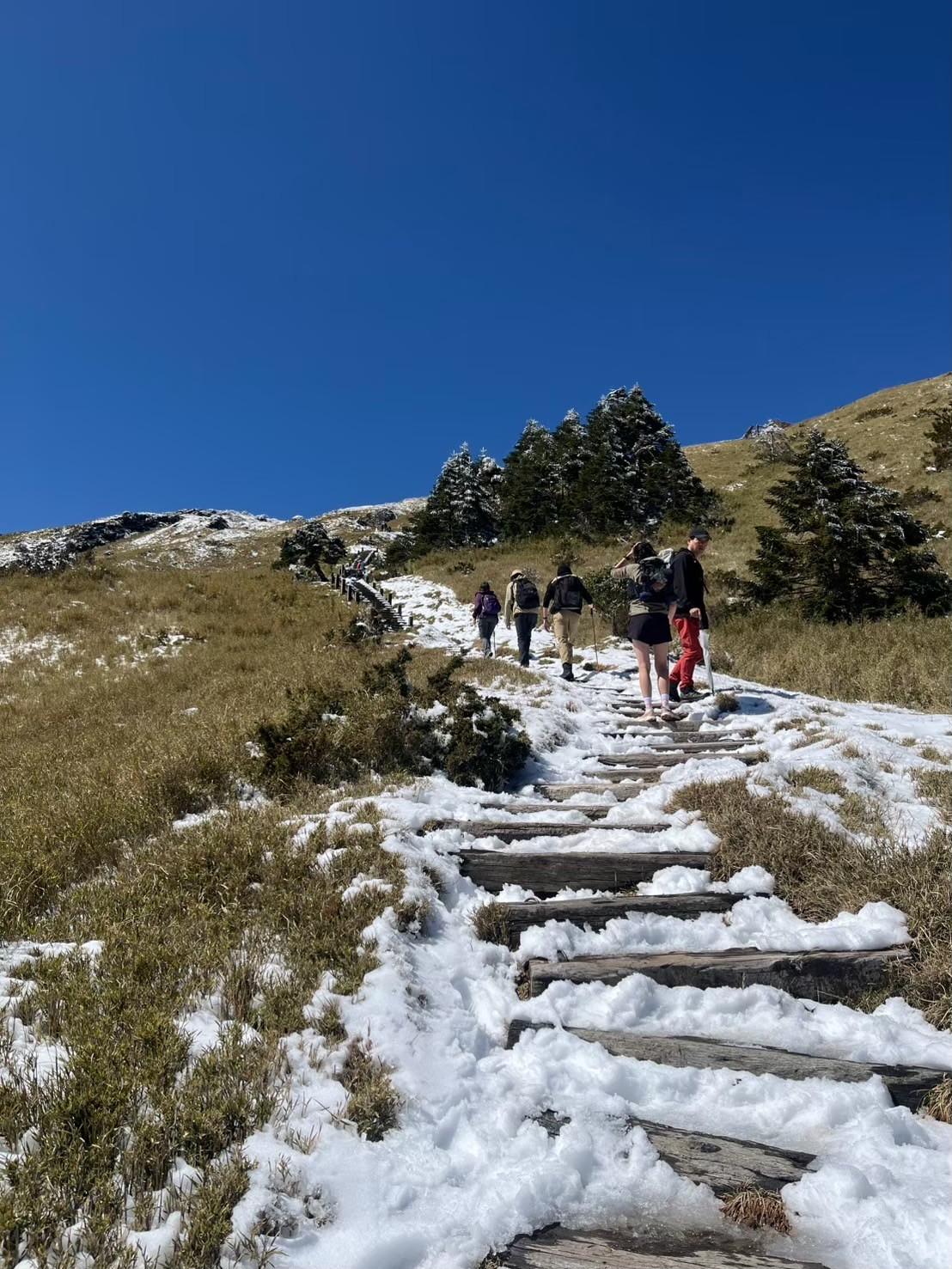 山體感—關於此時、過去、未來的臺灣山岳思索 組圖4