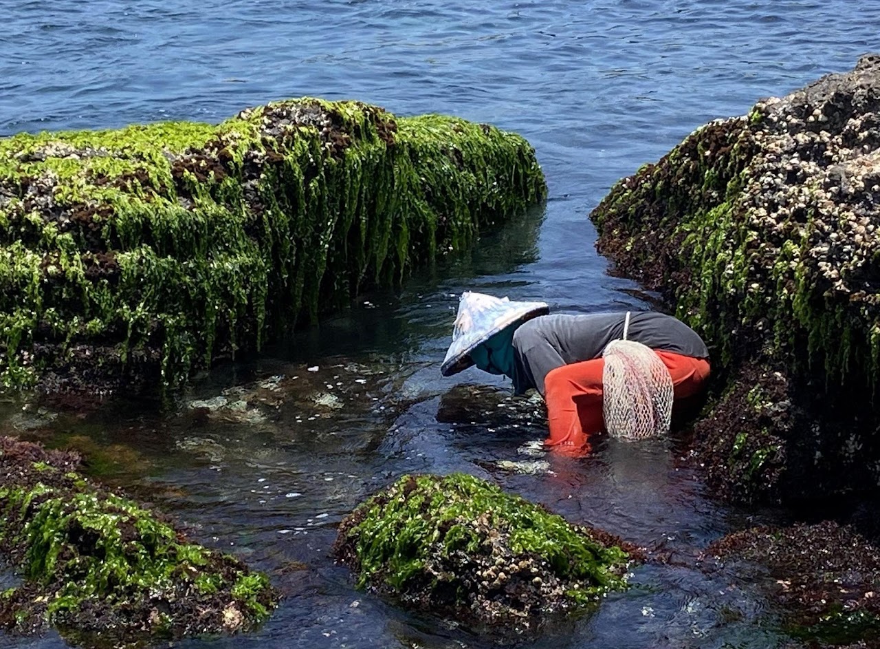 極東之嶼-駐村實地展演計畫 組圖5