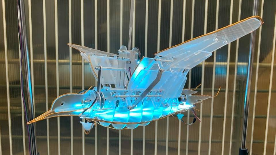 機械鳥藝術裝置研發教學 精選圖片