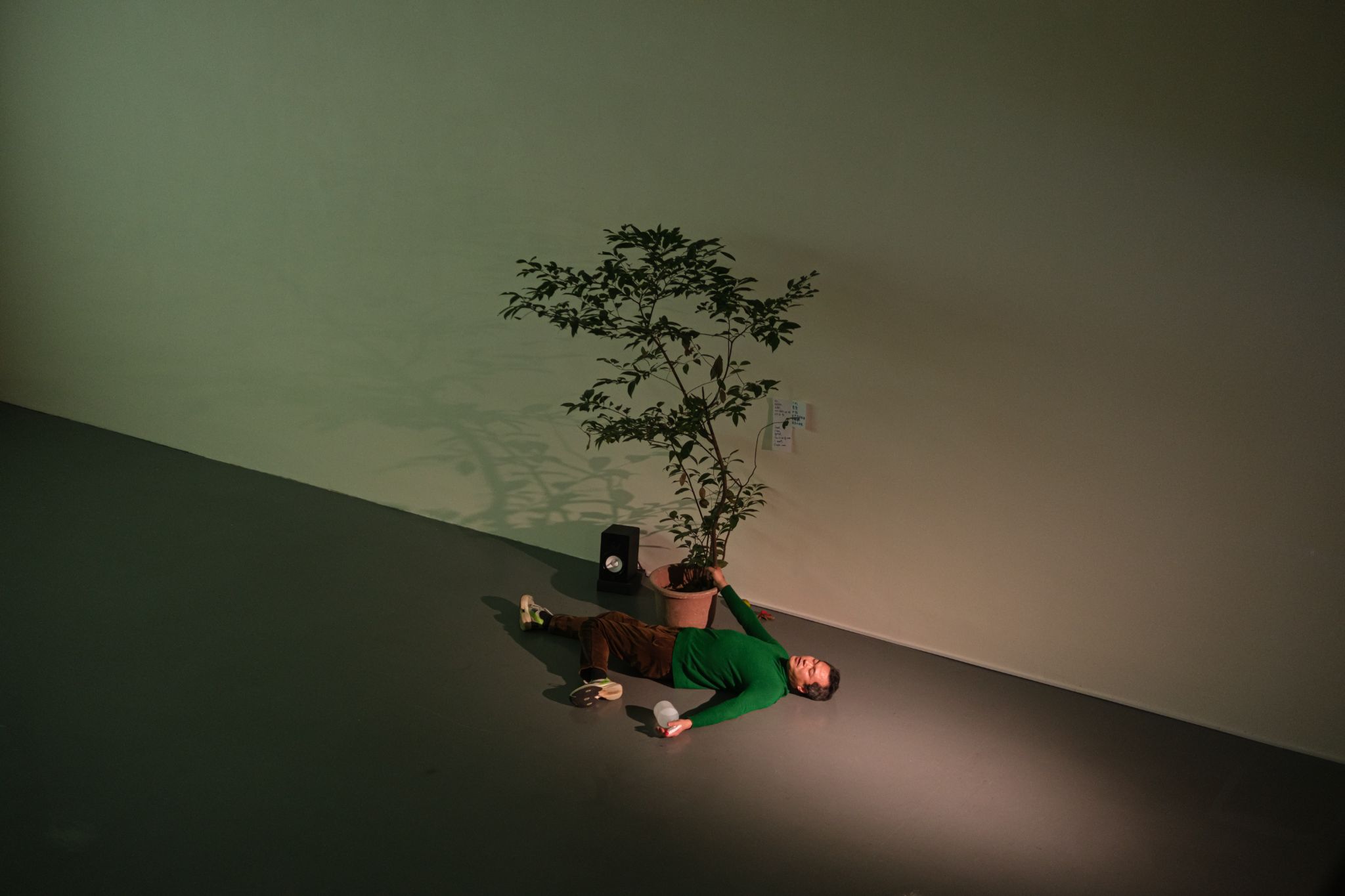 永續展演生態 組圖14