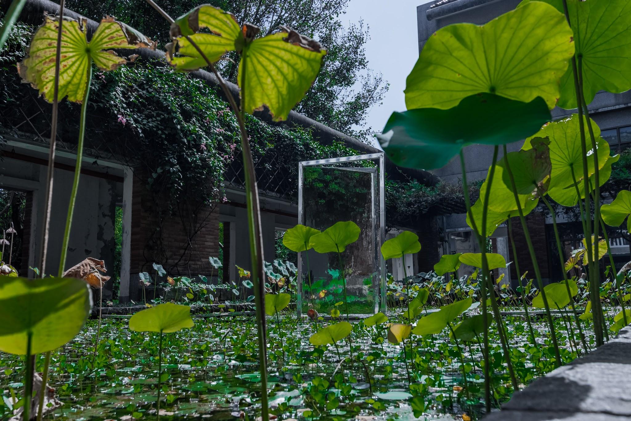 生無可戀 ver. 2.1 劇照2