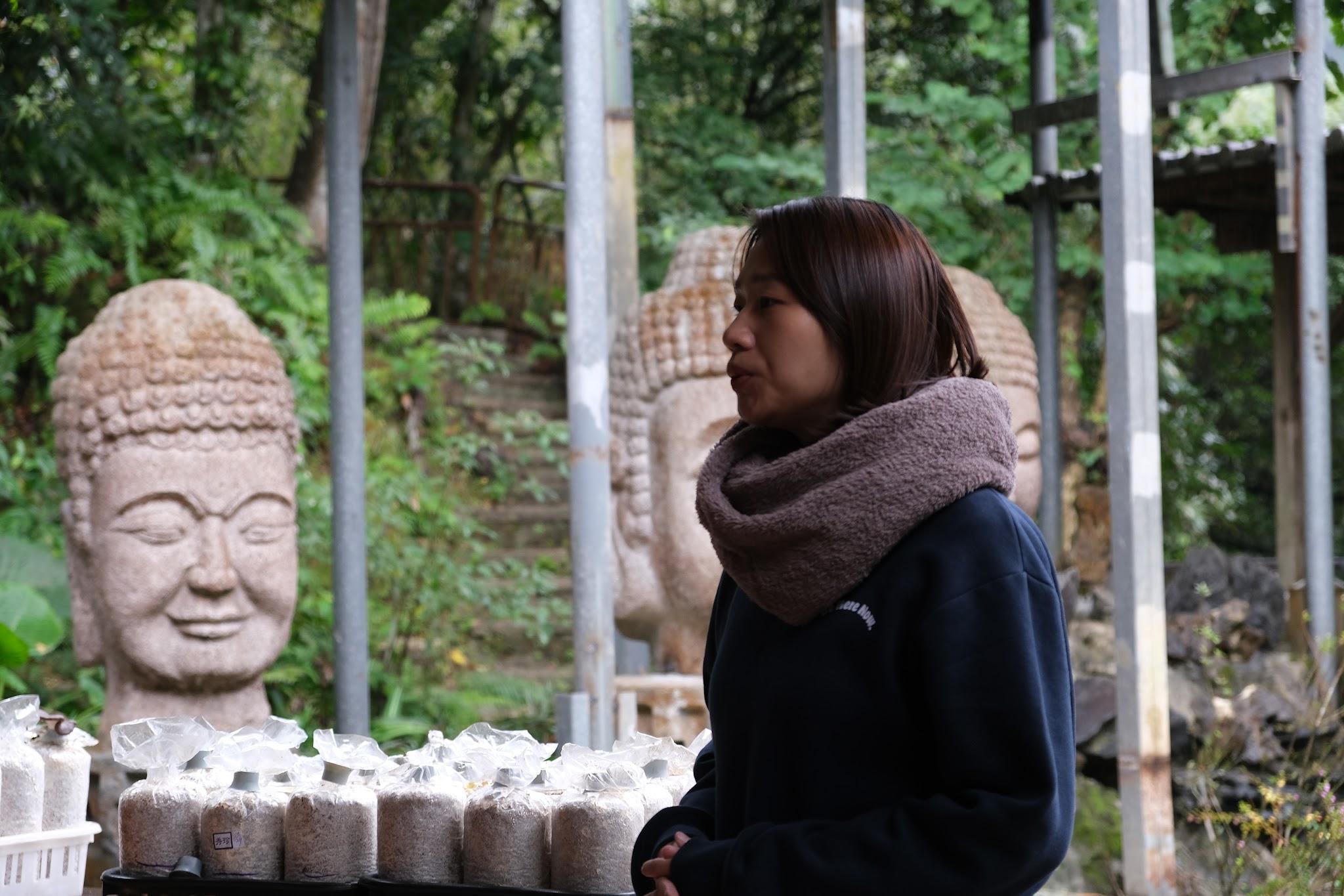 石碇螢火蟲復藝祭 組圖15