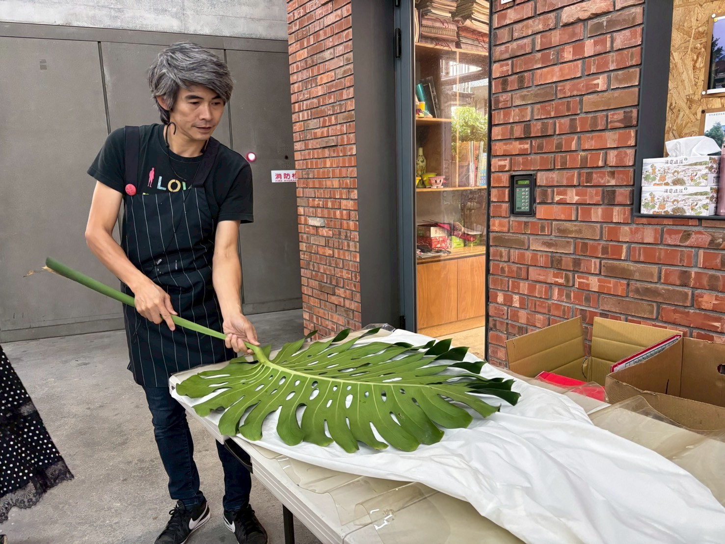 米特生態圈 組圖29