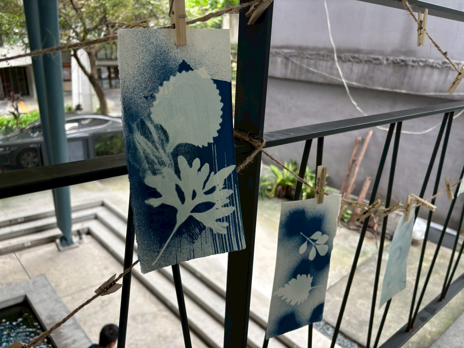 米特生態圈 組圖34
