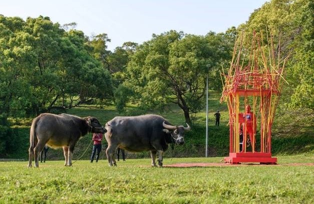 2019牛奔藝術節－行為藝術網路直播表演內容