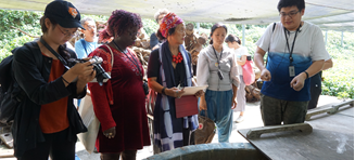 卓也小屋參訪，卓子絡(右一)介紹製靛過程