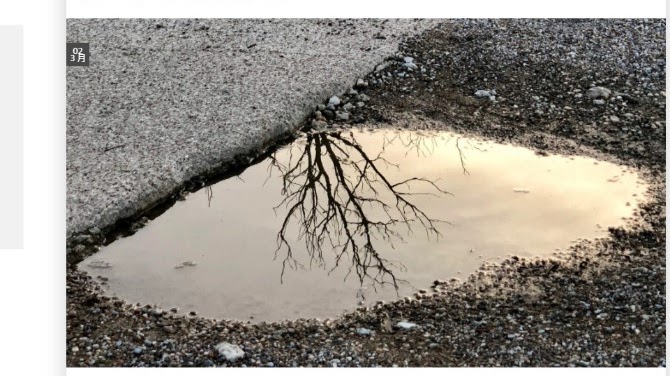 「特色課程:詩的別裁與跨越」課程紀錄呈現於文學所官網。