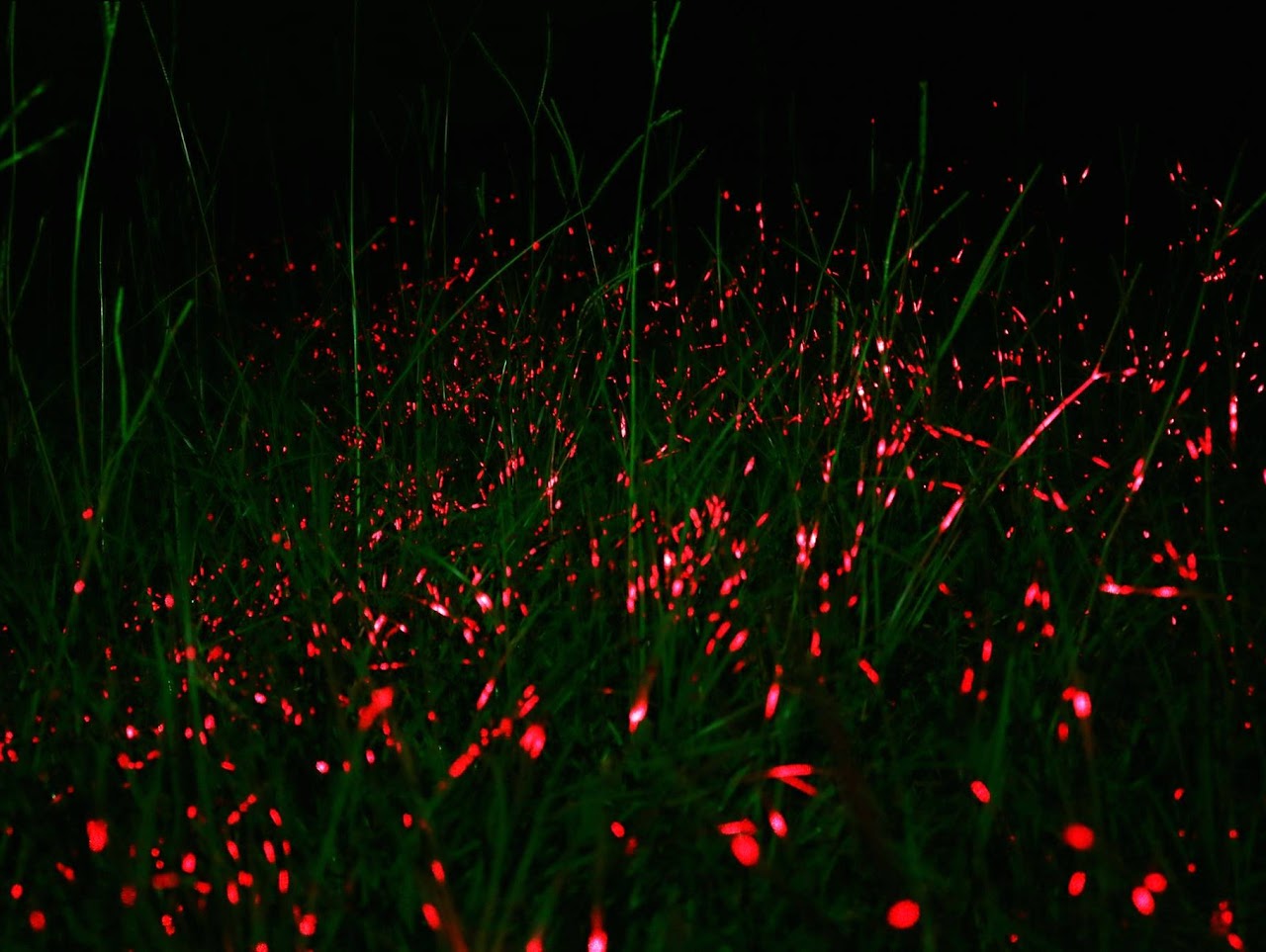 《草原座標》 高德亮 2017